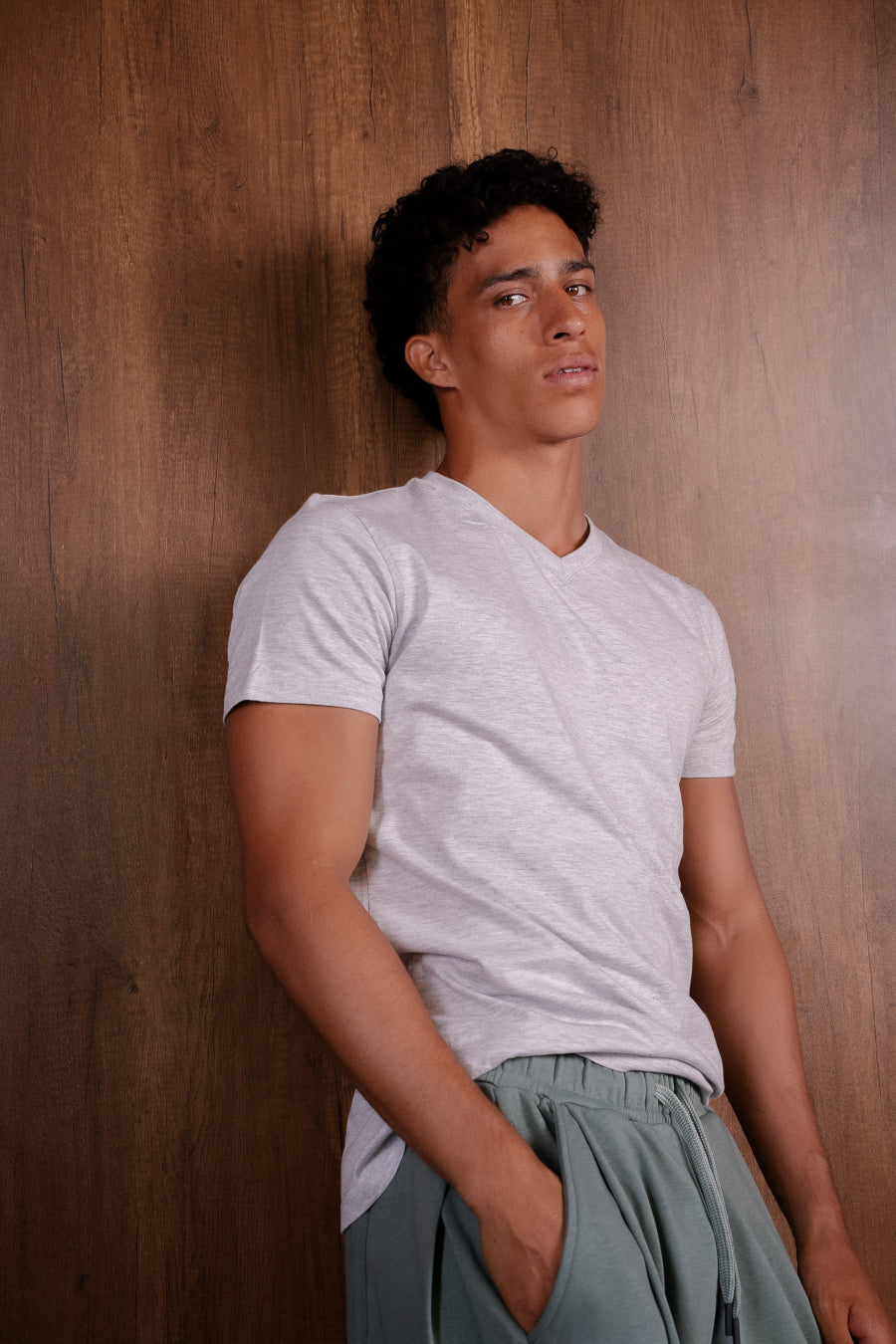 Slim Fit V Neck T Shirt