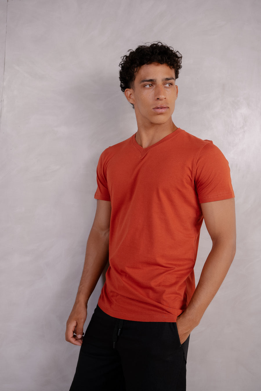 Slim Fit V Neck T Shirt